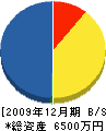 九州テクノス 貸借対照表 2009年12月期
