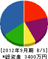 西田塗装工業 貸借対照表 2012年9月期