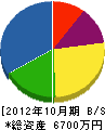 北大阪環境 貸借対照表 2012年10月期
