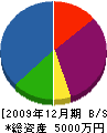 マルニ成田建設 貸借対照表 2009年12月期