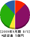 丸孝 貸借対照表 2009年9月期