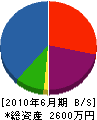 小泉土建 貸借対照表 2010年6月期