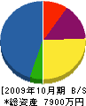 角田塗装 貸借対照表 2009年10月期