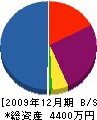 山崎塗装店 貸借対照表 2009年12月期