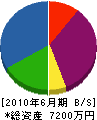 細川電機 貸借対照表 2010年6月期