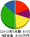 梅沢電気商会 貸借対照表 2012年5月期