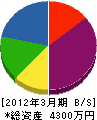 坪川電気商会 貸借対照表 2012年3月期