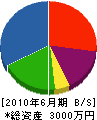 石井工業所 貸借対照表 2010年6月期