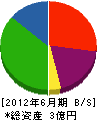 富士川商事 貸借対照表 2012年6月期