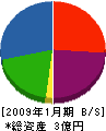 小田製材所 貸借対照表 2009年1月期