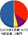 九州ビナン 貸借対照表 2010年9月期
