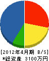 大竹興業 貸借対照表 2012年4月期
