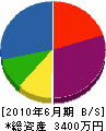 片山建築 貸借対照表 2010年6月期
