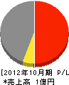 武田建設 損益計算書 2012年10月期