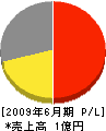 阿部工務店 損益計算書 2009年6月期