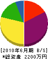 横山電気商会 貸借対照表 2010年6月期