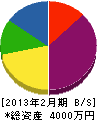 細川組 貸借対照表 2013年2月期