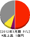 松島組 損益計算書 2012年3月期