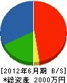 藤田組工務 貸借対照表 2012年6月期