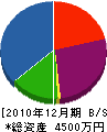 鎌田水道工務店 貸借対照表 2010年12月期