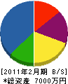 川辺 貸借対照表 2011年2月期