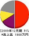 大西造園 損益計算書 2009年12月期