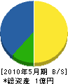 沖縄緑建 貸借対照表 2010年5月期