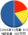 津田建設工業 貸借対照表 2009年12月期