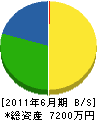 寿賀崎建設 貸借対照表 2011年6月期