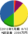 大田電工 貸借対照表 2012年5月期