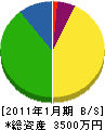 多田電機商会 貸借対照表 2011年1月期