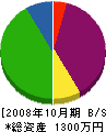 佐々木電気 貸借対照表 2008年10月期