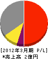 藤田ボーリング 損益計算書 2012年3月期