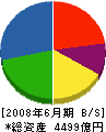 矢崎総業 貸借対照表 2008年6月期
