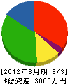辻電気工事店 貸借対照表 2012年8月期