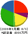 込山電機 貸借対照表 2009年9月期