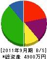玉井造園 貸借対照表 2011年9月期