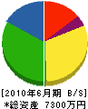 松山プロパン商会 貸借対照表 2010年6月期