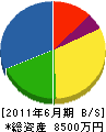 松田組 貸借対照表 2011年6月期