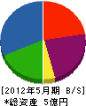 高坂防災 貸借対照表 2012年5月期