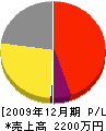 柴田ガラス 損益計算書 2009年12月期