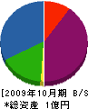 創空技研 貸借対照表 2009年10月期