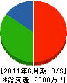 大川吉建設 貸借対照表 2011年6月期