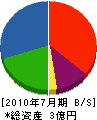 小井土造園土木 貸借対照表 2010年7月期