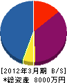 京葉都市生活サービス 貸借対照表 2012年3月期