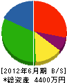 片山 貸借対照表 2012年6月期