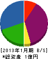 岡崎電機商会 貸借対照表 2013年1月期