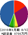 徳永工務店 貸借対照表 2010年6月期