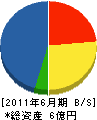 川本建設工業 貸借対照表 2011年6月期