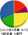 日本エス・テイ・ジヨンソン商会 貸借対照表 2012年9月期